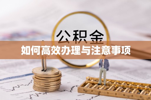 巴林右旗如何高效办理与注意事项