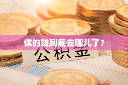 巴林右旗你的钱到底去哪儿了？