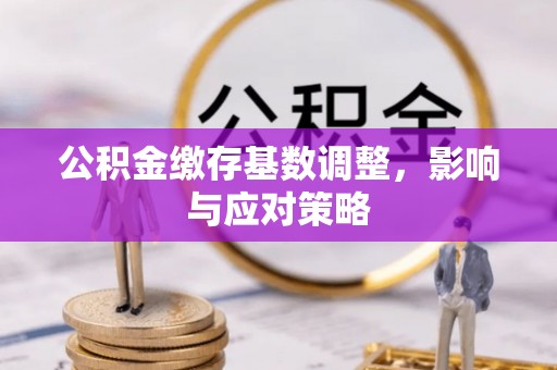 巴林右旗公积金缴存基数调整，影响与应对策略