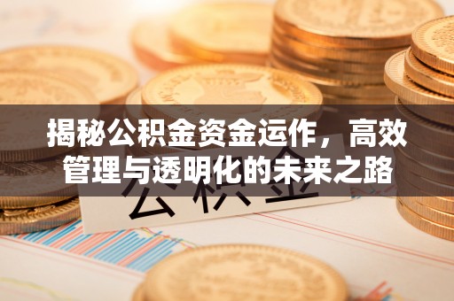 巴林右旗揭秘公积金资金运作，高效管理与透明化的未来之路