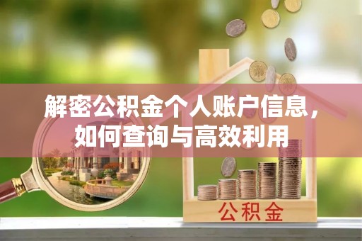 巴林右旗解密公积金个人账户信息，如何查询与高效利用