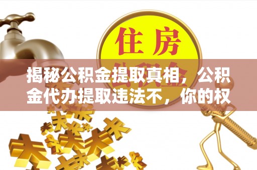 巴林右旗揭秘公积金提取真相，公积金代办提取违法不，你的权益如何保障？