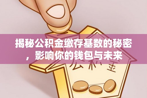 巴林右旗揭秘公积金缴存基数的秘密，影响你的钱包与未来