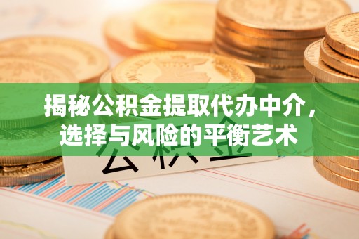 巴林右旗揭秘公积金提取代办中介，选择与风险的平衡艺术