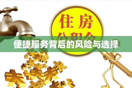 巴林右旗便捷服务背后的风险与选择