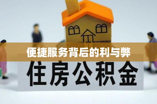 巴林右旗便捷服务背后的利与弊